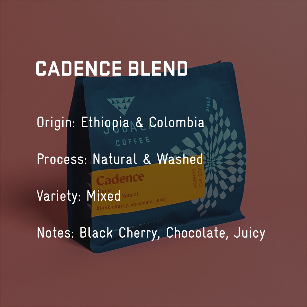 Cadence Blend