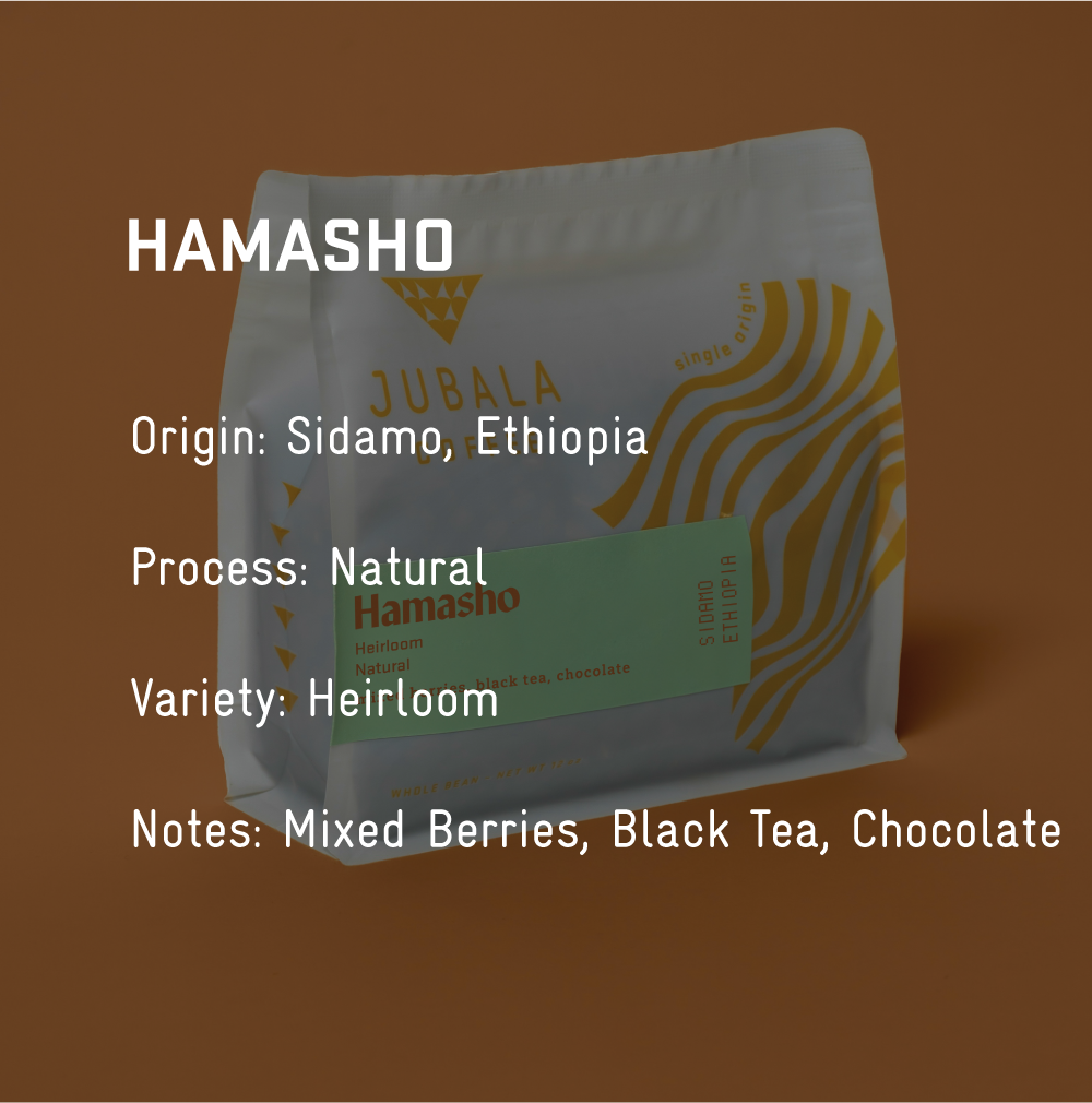 Hamasho