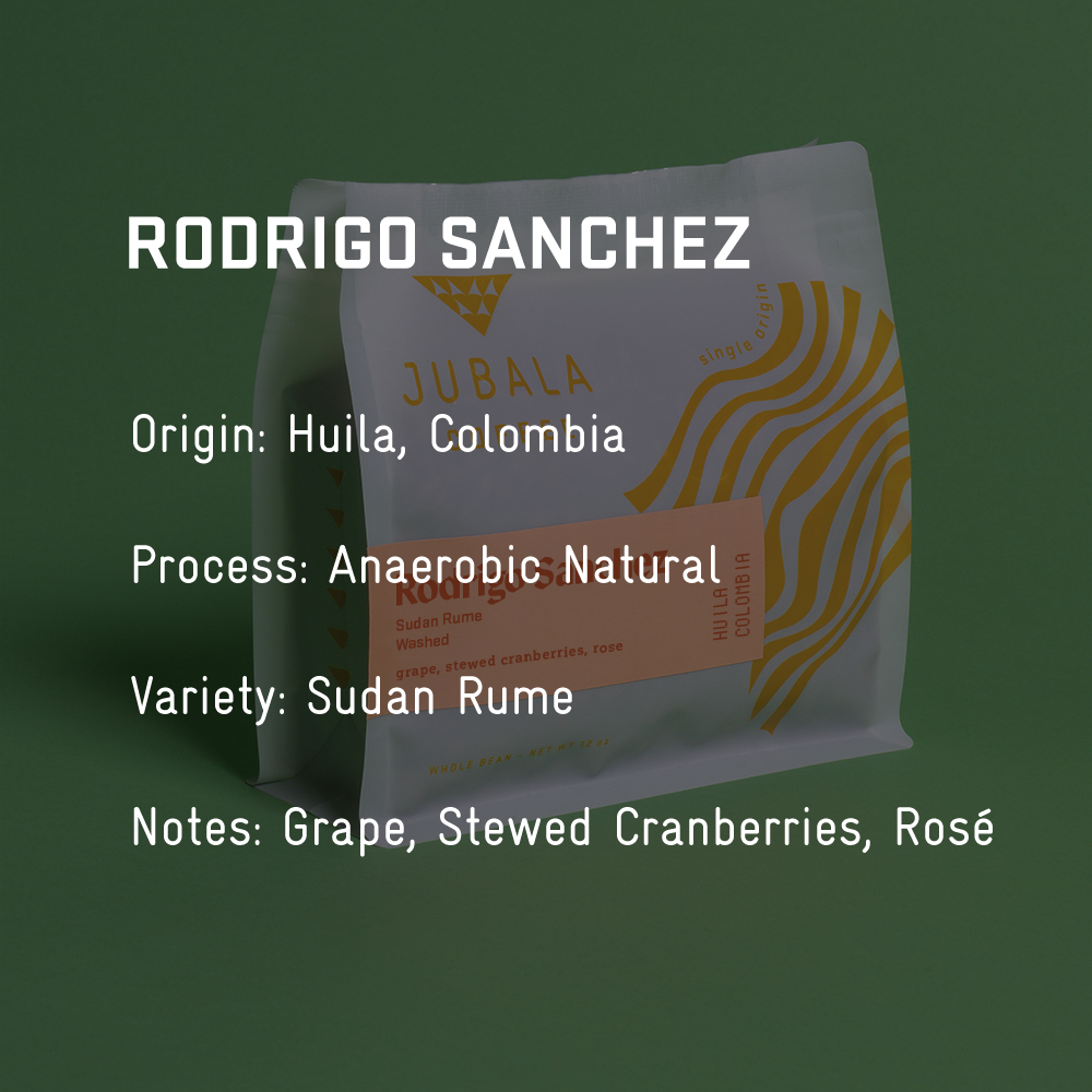 Rodrigo Sanchez